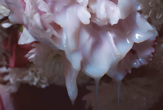 The Wake (detail) © Annique Delphine, From The Series ABUNDANCE